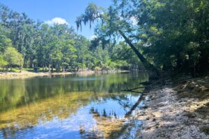 Santa Fe River Conservation Corridor expands with protection of 40 additional acres