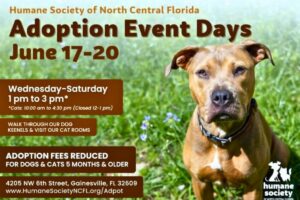 Humane Society to host Adoption Days event on June 17-20 