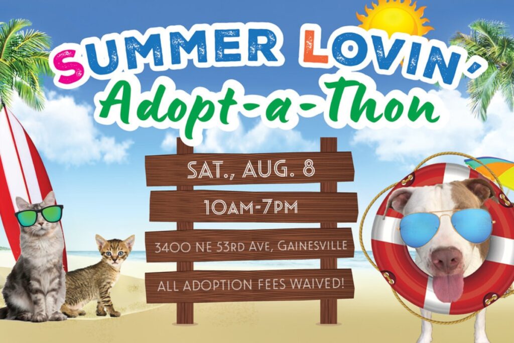 Alachua County Animal Resources is inviting the community to its annual Summer Lovin' Adopt-A-Thon offering free adoptions for hundreds of dogs and cats on Aug. 8. Courtesy of Alachua County