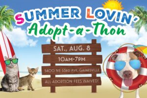 Alachua County Animal Resources to host annual Summer Lovin’ Adopt-A-Thon