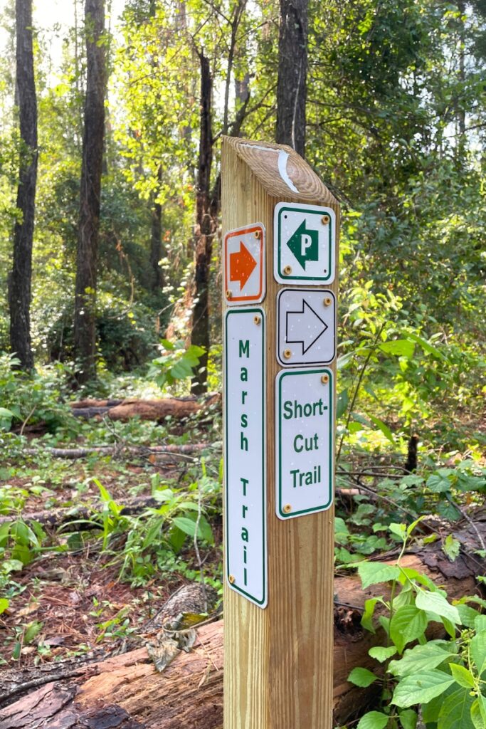 Little Lake Santa Fe Preserve has the Marsh Trail and Short-Cut Trail. Photo by Seth Johnson