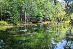 Drought conditions lead to discovery of 2 undocumented springs along Suwannee River