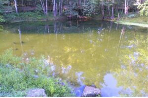 Alachua County temporarily closes swimming area at Poe Springs Park
