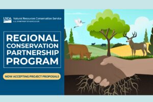 USDA accepting proposals for $310M Conservation Partnership Program