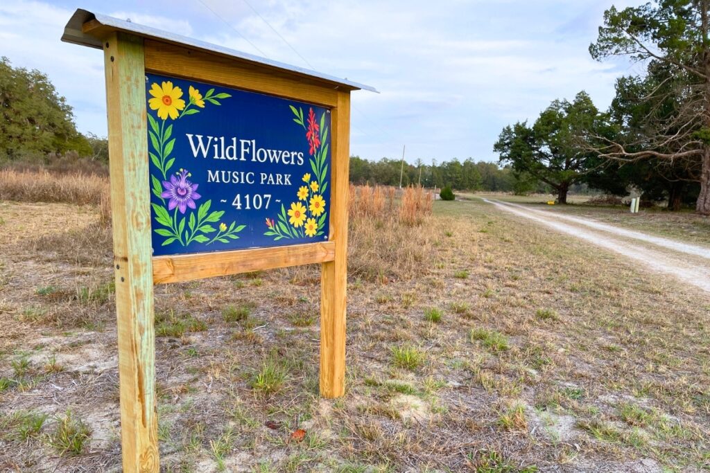 The WildFlowers Festival of Music and Dance was held in March. Photo by Seth Johnson