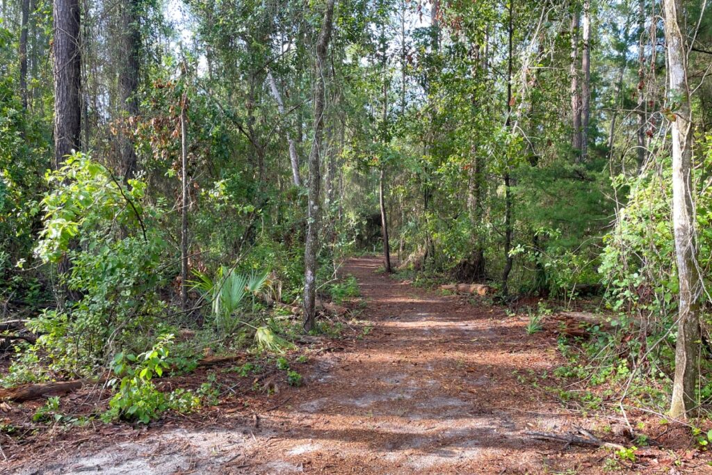 The trail features dirt, pine needles and wood chips. Photo by Seth Johnson