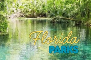 Good in Gainesville: North Central Florida’s Parks Pay Dividends Beyond Recreation