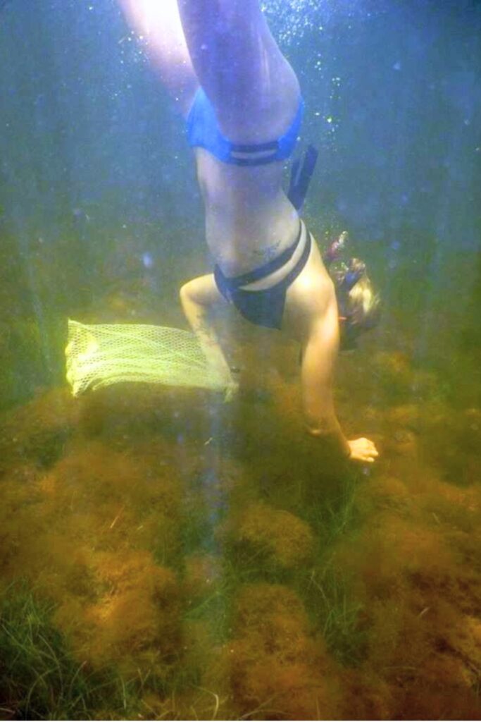 A girl diving for scallops. Photo by Captain Laura Currier