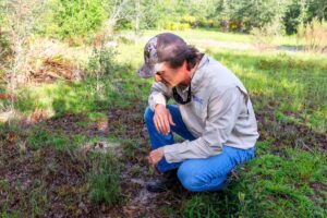 UF/IFAS builds second teaching forest with 2,660-acre Gainesville land purchase