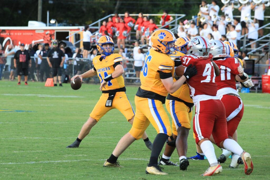 Newberry's Kieran Whitesides looks for a throw downfield. Photo by Seth Johnson
