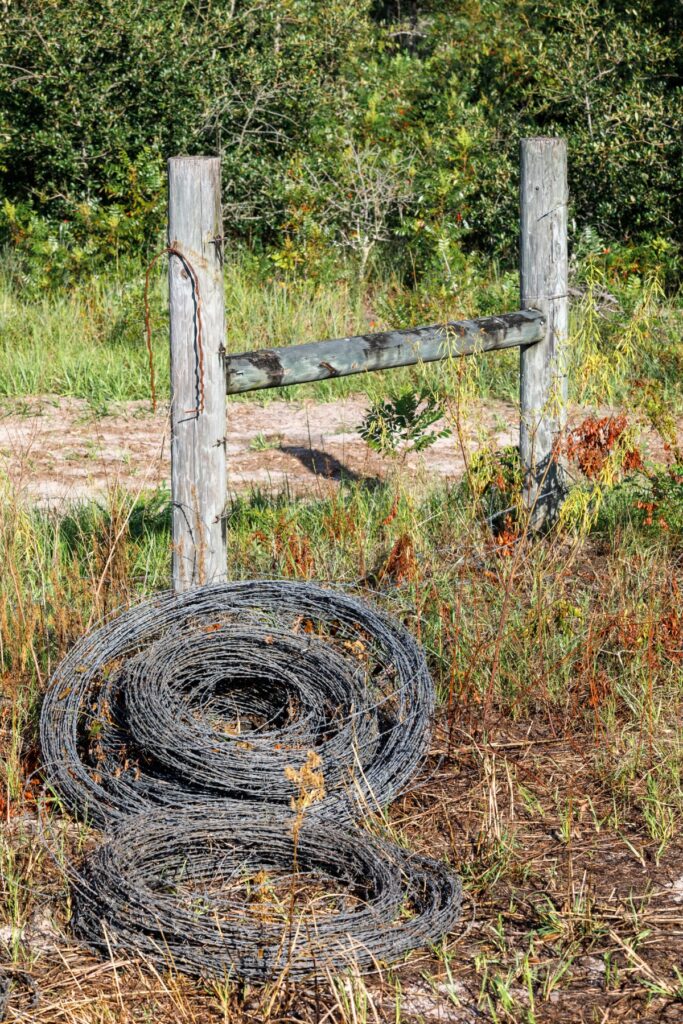 One of the many tasks involved in managing nearly 2,600 acres of forest is removing nearly 20 miles of barbed-wire fencing. According to land manager Cully Lord, clearing brush and dismantling old fence lines has been a challenging undertaking in the dense, unrelenting forest.
