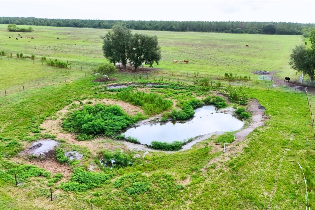 The Alachua Conservation Trust has permanently protected 183 acres on Kerby Farm in Lafayette County through a conservation easement. Courtesy of ACT