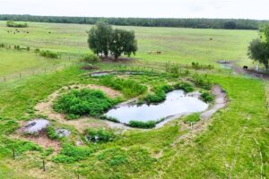 Alachua Conservation Trust protects 183 acres in Lafayette County