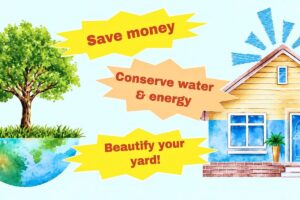 Alachua County to host free home and yard conservation workshop on Aug. 29