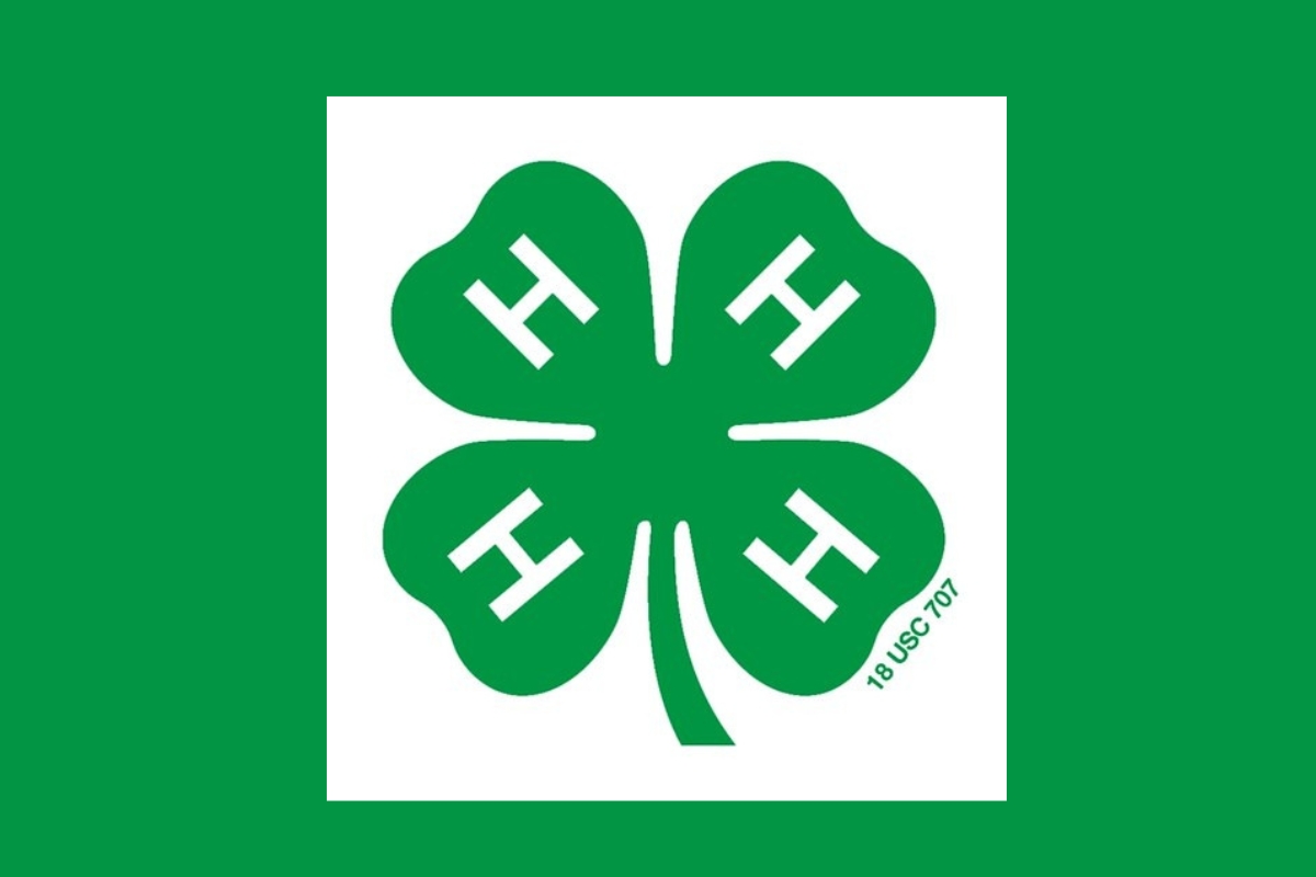 UF/IFAS Extension Alachua County announces August 4-H programs
