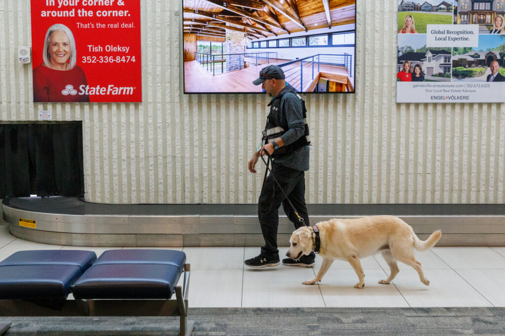 Gainesville Regional Airport K-9 handler Jason Berger walks through the baggage area with Beamer, the airport’s first and only explosives-detection dog. “When she’s ready to work, she turns into another dog,” Berger said.