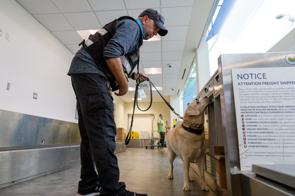 Gainesville Regional Airport K-9 Beamer searches for explosives during a training exercise with handler Jason Berger. “A dog does it a lot faster than a human can,” Berger said of Beamer’s abilities.