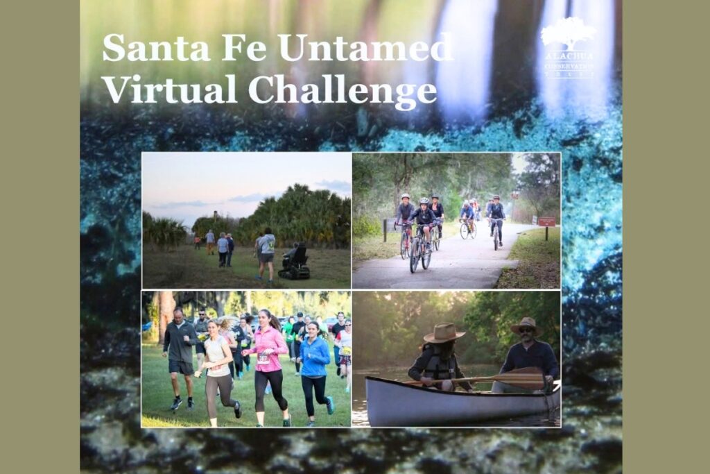 Alachua Conservation Trust will host the 75-mile Santa Fe Untamed virtual race to celebrate and raise funds for conservation along the Santa Fe River. Courtesy ACT