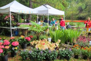 Area festivals, bashes and markets to celebrate the fall season