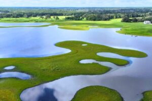 2 families protect 473 Acres in Ichetucknee Springshed