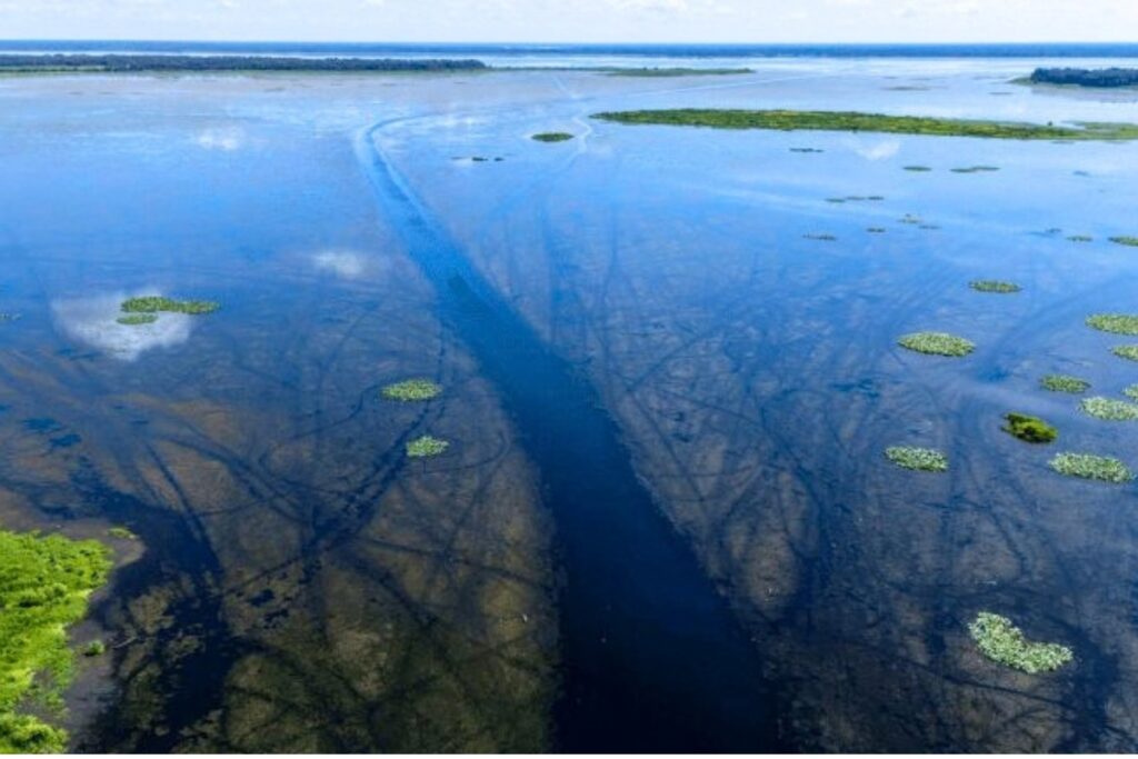The Florida Fish and Wildlife Conservation Commission will host a public meeting Oct. 15 to discuss agency activities and conditions on Orange, Lochloosa and Newnans lakes. Courtesy FWC